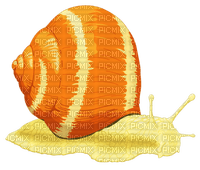 Kaz_Creations Snails Snail - gratis png
