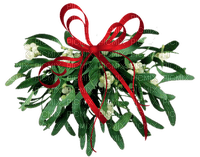 mistletoe bp - PNG gratuit