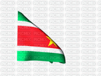 Vlag Suriname - Δωρεάν κινούμενο GIF