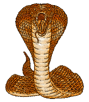 snake - GIF animado gratis