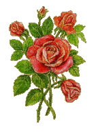 vintage roses - Бесплатный анимированный гифка