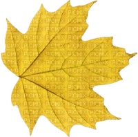 autumn yellow leaf deco - png gratis