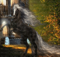 laurachan horse - Ilmainen animoitu GIF