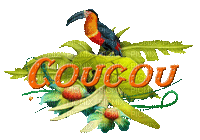 toucan - Δωρεάν κινούμενο GIF
