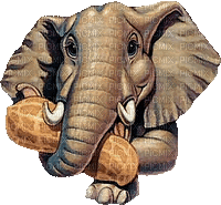 elephant - Gratis geanimeerde GIF
