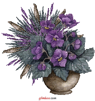 Flower - Безплатен анимиран GIF