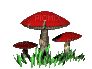 champignons  HD - Ücretsiz animasyonlu GIF