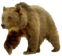 Beer 🐻 - δωρεάν png