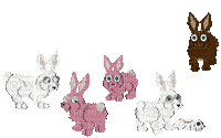 Petz Bunny Family - GIF animado grátis
