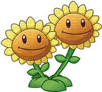 Tournesol, sunflower, Sonnenblume - PNG gratuit
