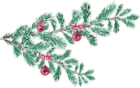 soave deco branch christmas winter ball pine - 免费PNG
