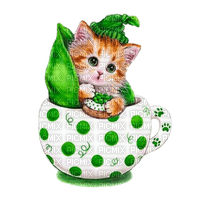 Kätzchen, Tasse, weiss-grün