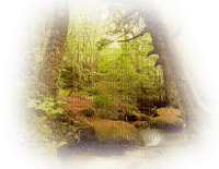 forêt/forest - 無料png