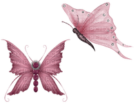 dulcineia8 borboletas - PNG gratuit