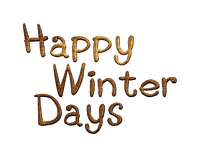 Texte Happy Winter Days:) - бесплатно png