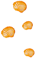Seashells.Orange - ingyenes png