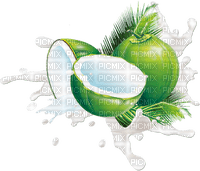 green coconut Bb2 - ücretsiz png