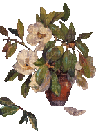 Blumen, weiß, Lorbeer, Vase - Gratis animeret GIF