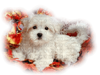 chien/dog - 無料png