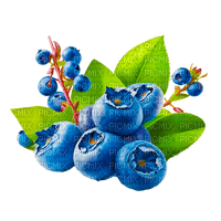 blueberries Bb2 - bezmaksas png