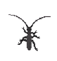 longhorn beetle by chubbypoulpy - GIF animado gratis