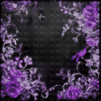 Purple black background roses animated Rox - Zdarma animovaný GIF