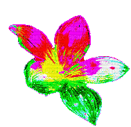 Fiore luminoso A - GIF animado grátis