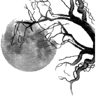 Lune - Zdarma animovaný GIF