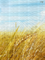 wheat - Darmowy animowany GIF