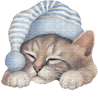 cats dress up bp - 無料のアニメーション GIF