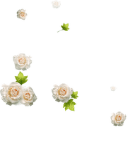 ✶ Roses {by Merishy} ✶ - png gratis