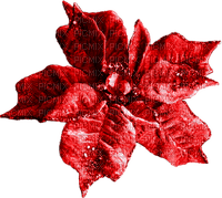 Christmas.Flower.Red - ingyenes png