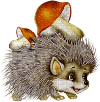 Hedgehog with Mushrooms - PNG gratuit