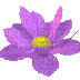 çiçek - 無料のアニメーション GIF
