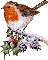 Winter / birds Hiver / oiseaux_Blue DREAM 70 - GIF animé gratuit