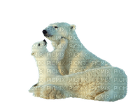 Kaz_Creations Animals Animal Polar Bears - фрее пнг