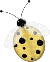 coccinelle.Cheyenne63 - zdarma png