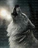 wolf howl - PNG gratuit