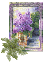 Frame with Lilac - Free animated GIF