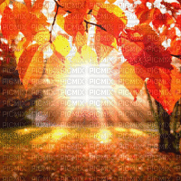 Autumn Background - GIF เคลื่อนไหวฟรี