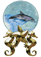 dolphin globe - GIF animasi gratis