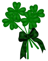 Bouquet Trèfle:) - PNG gratuit