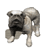 Dog Bark - Darmowy animowany GIF
