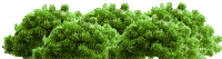 Wald - Besplatni animirani GIF