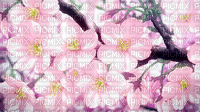 pink flowers  with falling petals - GIF animado grátis