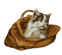 Cat, Katze, Tasche, Vintage - Bezmaksas animēts GIF