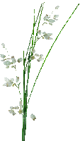 flower (created with gimp) - Gratis animeret GIF
