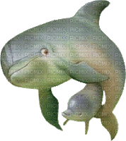 poisson dauphin/HD - GIF animé gratuit
