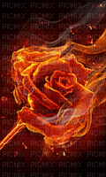rose - Besplatni animirani GIF