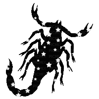 Y.A.M._Zodiac Scorpio - Bezmaksas animēts GIF